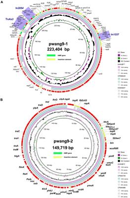 Coexistence of blaIMP-4, blaNDM-1 and blaOXA-1 in blaKPC-2-producing Citrobacter freundii of clinical origin in China